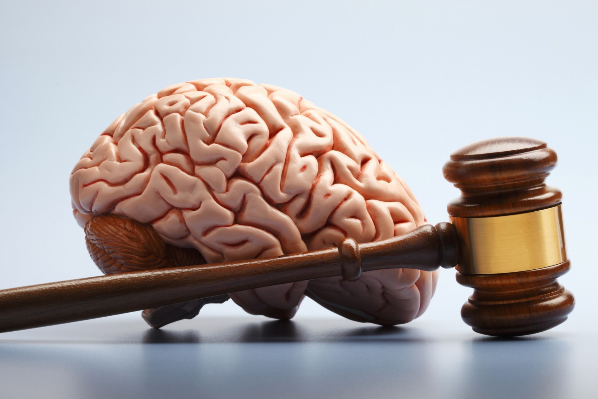 brain and a gavel on a light background
