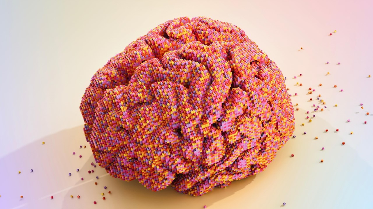Image of a brain made out of Lego bricks.
