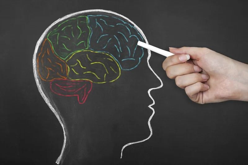Image of a human head drawn with a crayon on a blackboard.