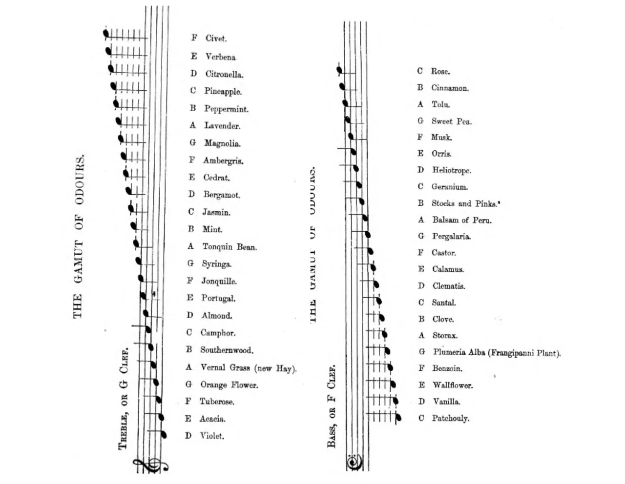 music score sheet