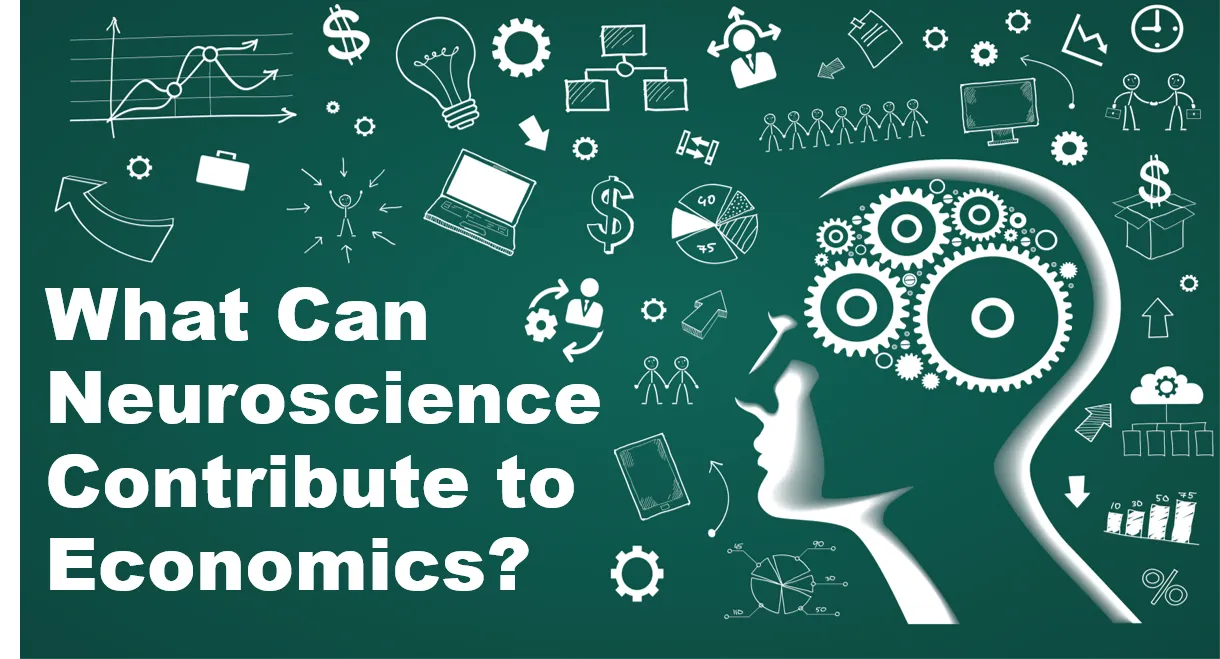 profile of a person's face with neuroeconomics vectors scattered on a green background