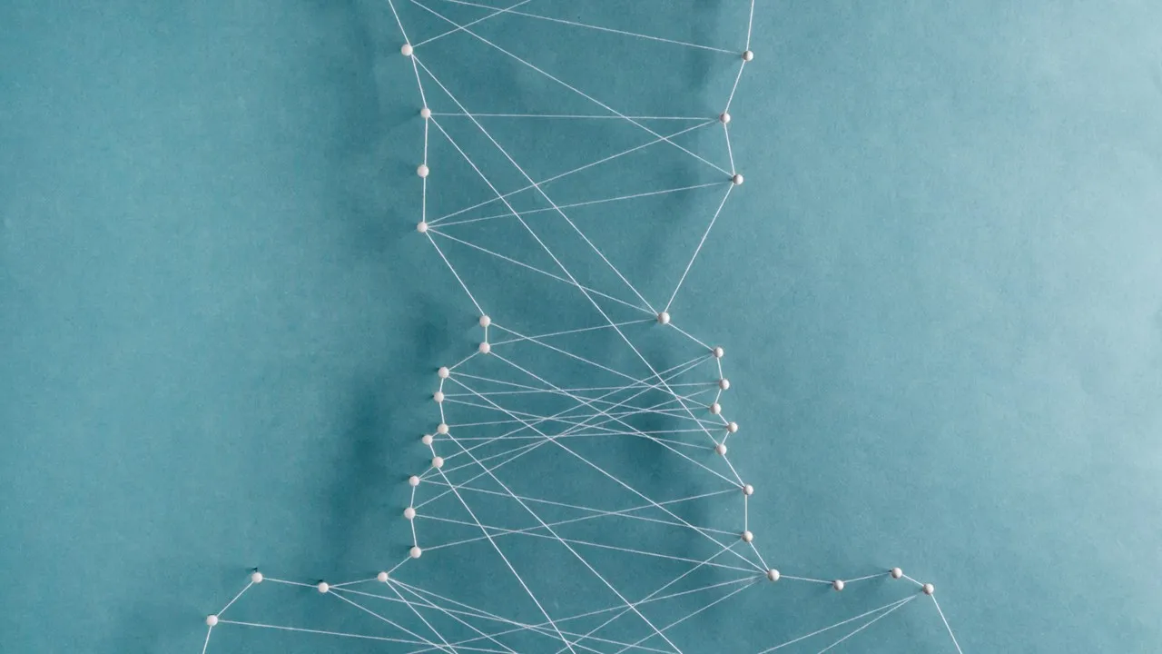 a network of pins joined by a thread