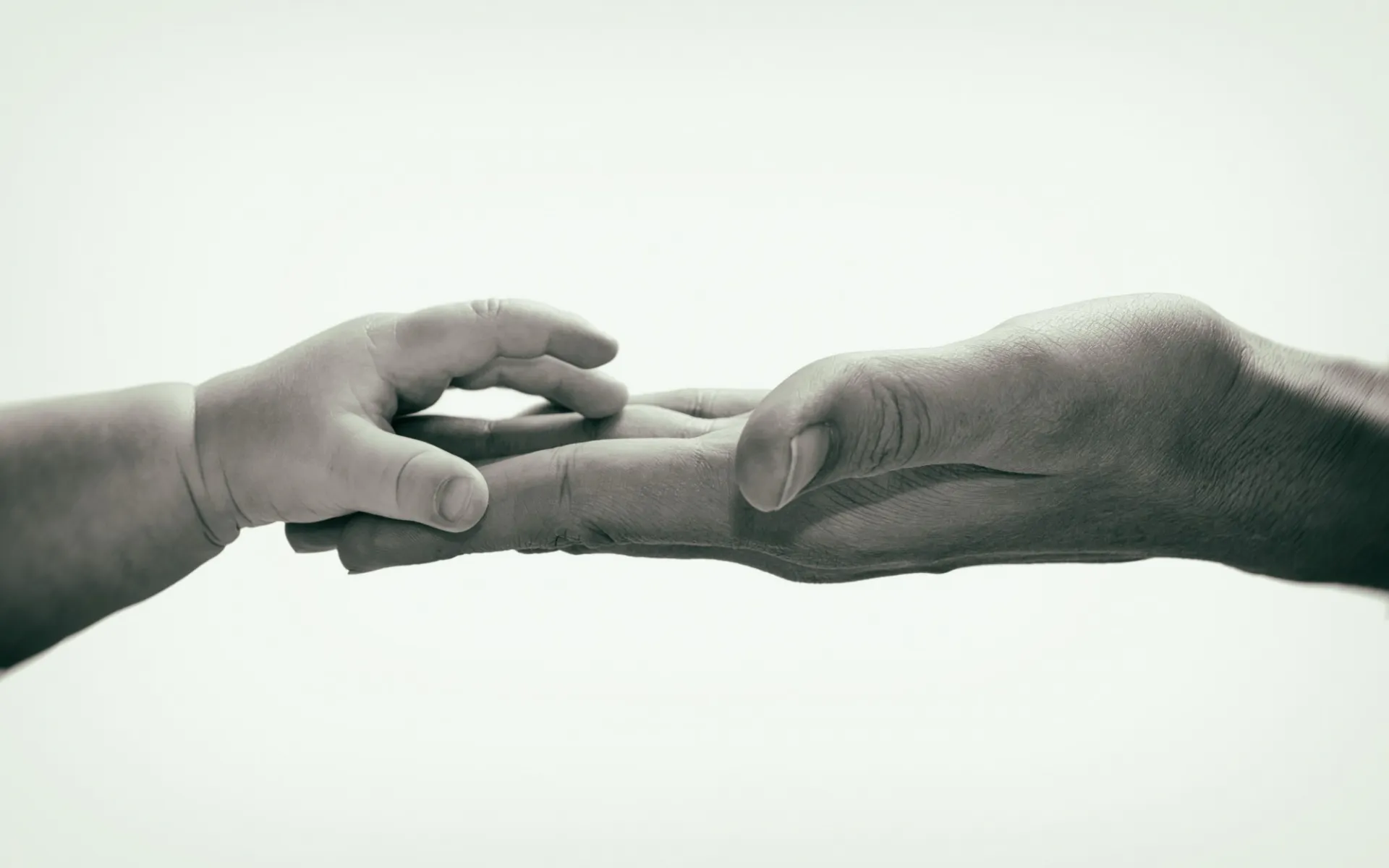 baby hand touching adult hand