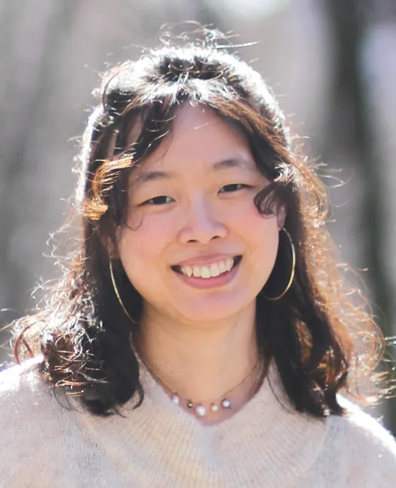 Lan A. Li